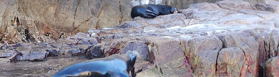 Baja Photo and Sightseeing Adventure 7