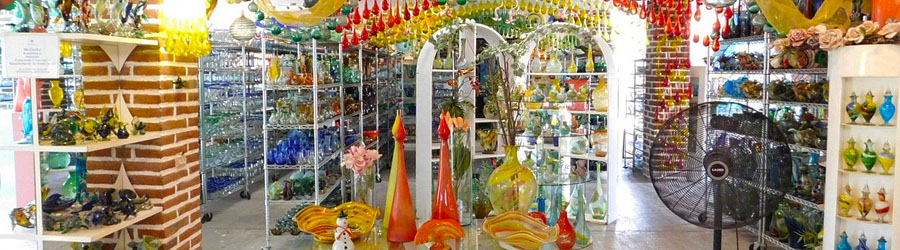 Baja Photo and Sightseeing Adventure 8