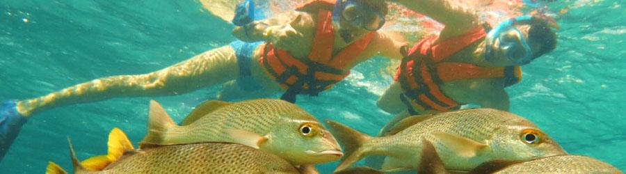 Cabo San Lucas Deluxe Snorkeling Floating Lounge Adventure 5