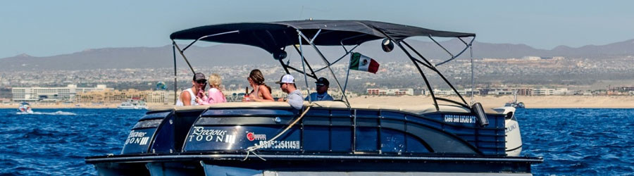 Pontoon Whale Watching Cabo San Lucas 4