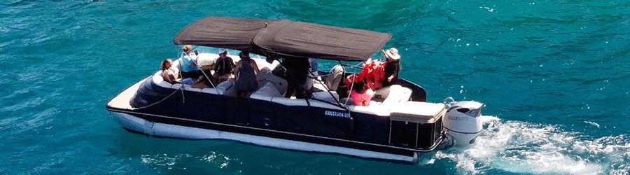 Pontoon Whale Watching Cabo San Lucas 6