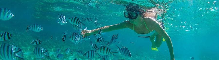 Private Custom Sea of Cortez Beach Hopping 1