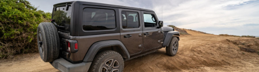 Cabo Pulmo Jeep Tour 2