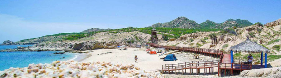 Cabo Pulmo Jeep Tour 3