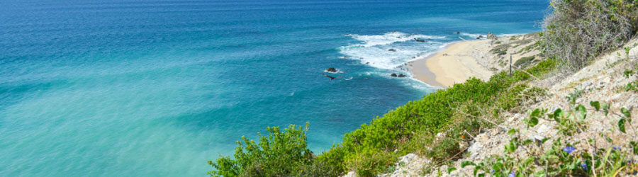 Cabo Pulmo Jeep Tour 4