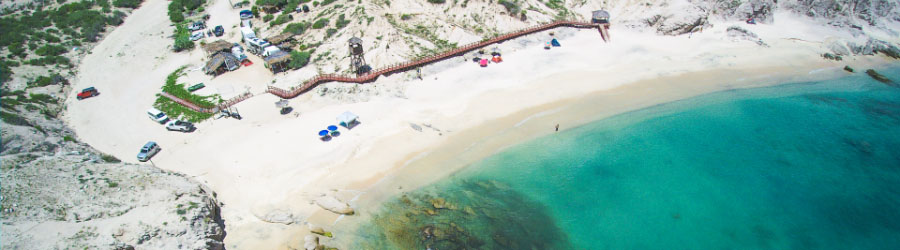 Cabo Pulmo Jeep Tour 5