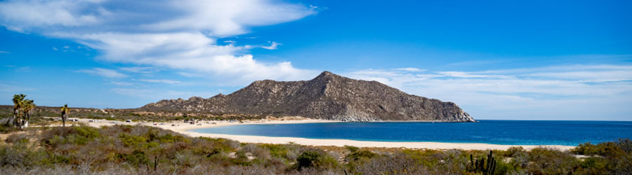 Cabo Pulmo Jeep Tour 8