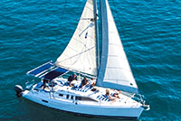 33' Private VIP Sailboat Charter