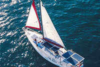 44' Private VIP Sailboat Charter