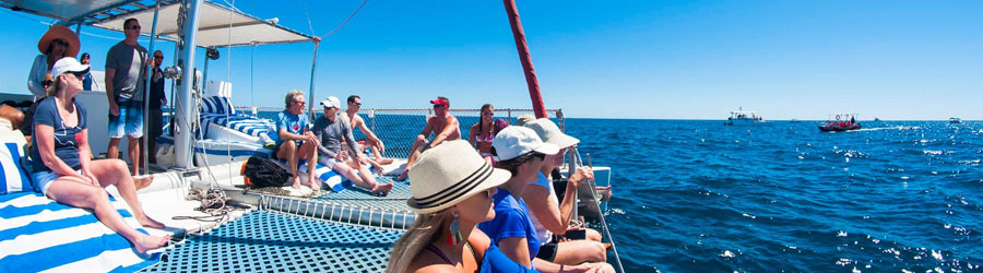 Private Cabo Sailing & Snorkeling Charter 6