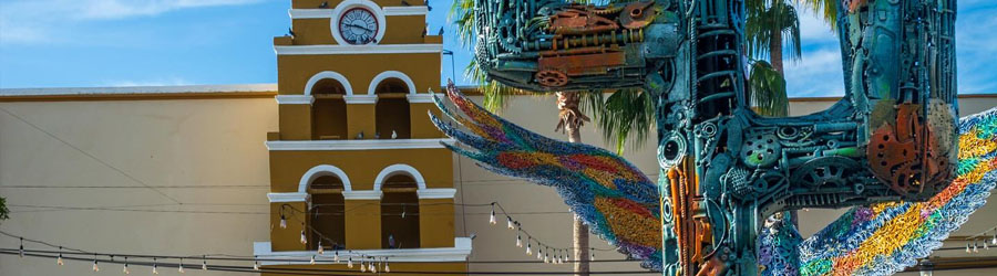 Private Los Cabos Shore Excursion 4