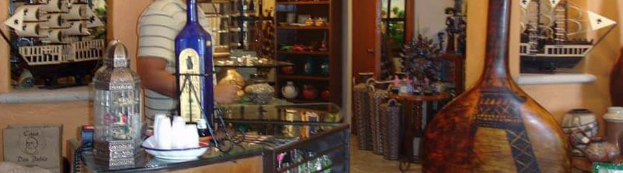 Private Baja San Jose del Cabo Sightseeing Adventure 4