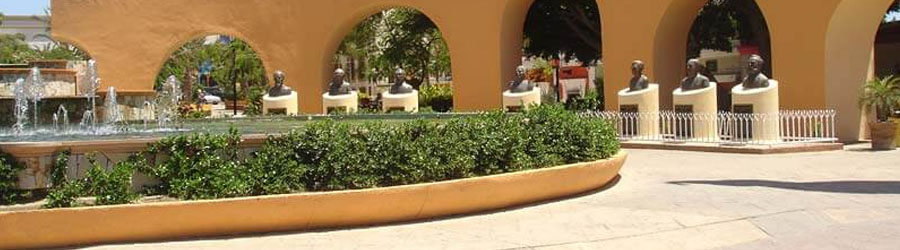 Private Baja San Jose del Cabo Sightseeing Adventure 5