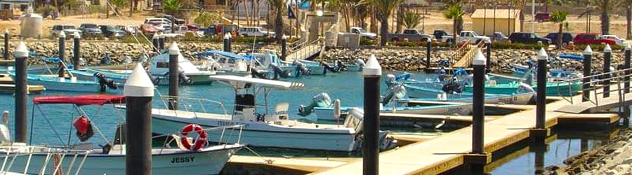 Private Baja San Jose del Cabo Sightseeing Adventure 6