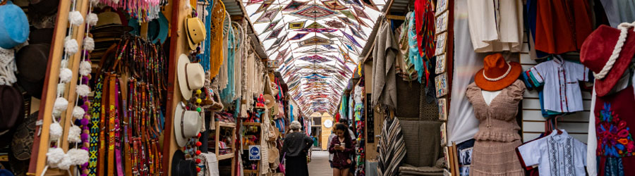 Private East Cape Todos Santos Magic Town by Jeep 6