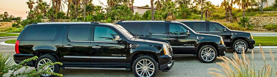 Baja Private Custom Excursion in Los Cabos 3