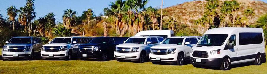 Baja Private Custom Excursion in Los Cabos 7