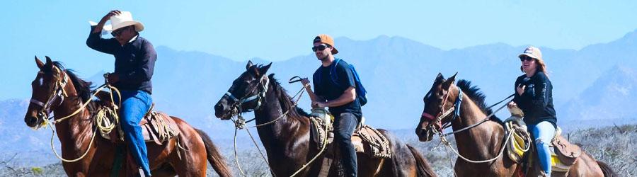 Baja Polaris RZR & Horseback Riding Tour 3