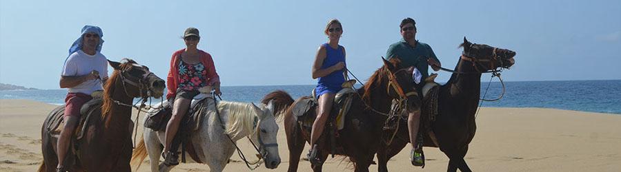 Baja Polaris RZR & Horseback Riding Tour 7