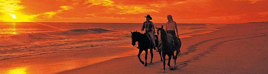 Sundown Baja Polaris RZR & Horseback Riding Tour 4