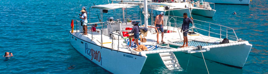 Cabo Santa Maria Bay Sailing Catamaran Tour 3