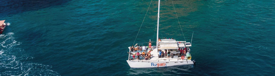 Cabo Santa Maria Bay Sailing Catamaran Tour 5