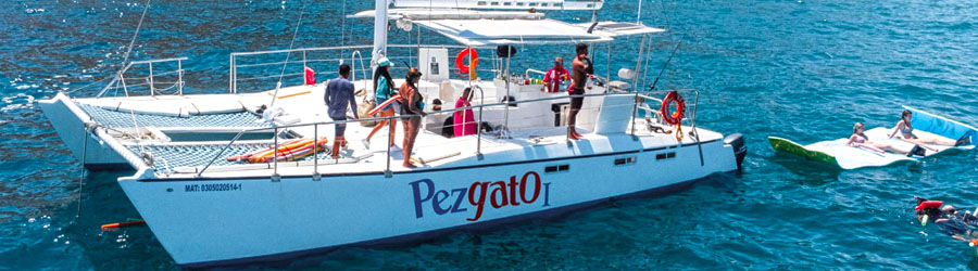 Cabo Santa Maria Bay Sailing Catamaran Tour 8