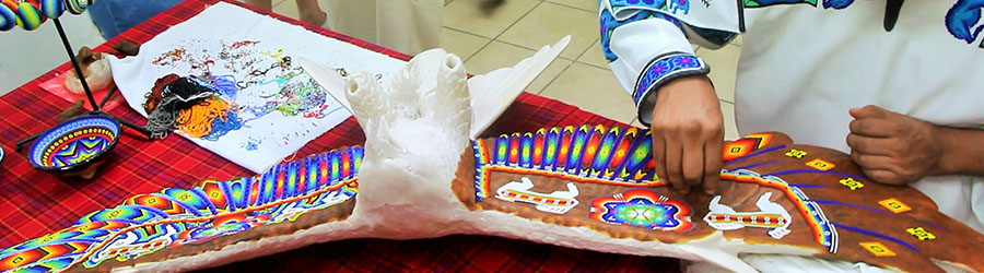 San Jose del Cabo Historical Adventure & Art Walk 1