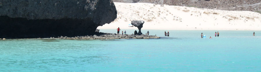 La Paz Baja Sea Lion Snorkel and Beach Resort 1