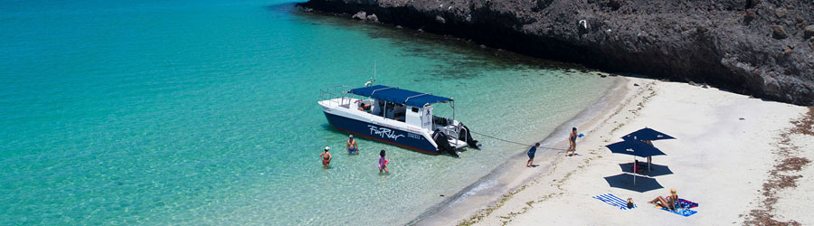 La Paz Baja Sea Lion Snorkel and Beach Resort 3