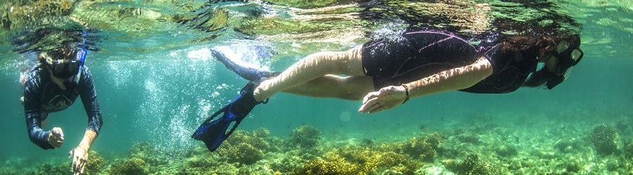 La Paz Baja Sea Lion Snorkel and Beach Resort 4