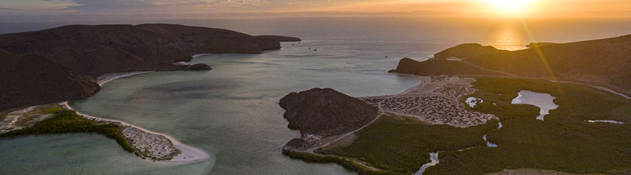 La Paz Baja Sea Lion Snorkel and Beach Resort 6