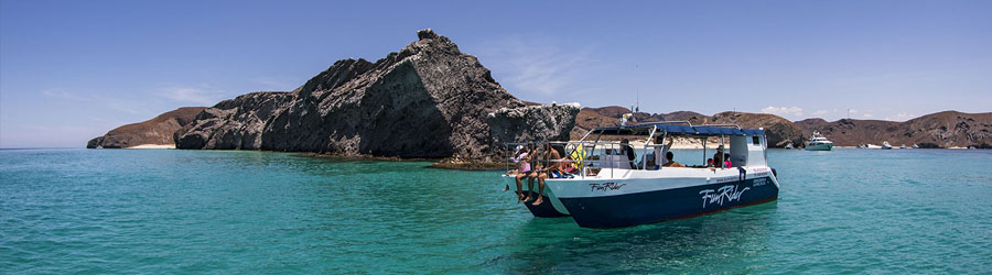 La Paz Baja Sea Lion Snorkel and Beach Resort 7