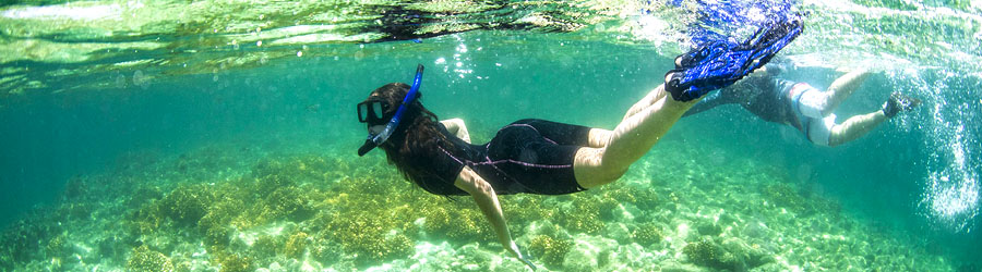 La Paz Baja Sea Lion Snorkel and Beach Resort 8