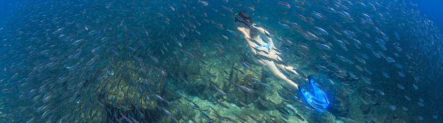 La Paz Baja California Catamaran Snorkeling Tour 1