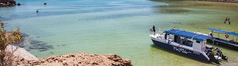 La Paz Baja California Catamaran Snorkeling Tour 4
