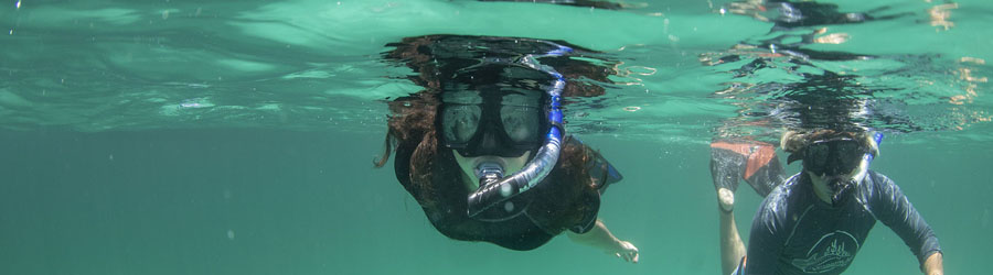 La Paz Baja California Catamaran Snorkeling Tour 7