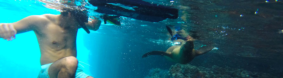 La Paz Baja California Catamaran Snorkeling Tour 8