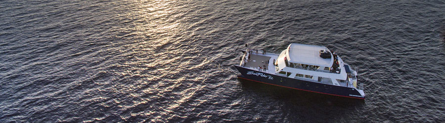 Sunrider Cabo Sunset Cruise 5