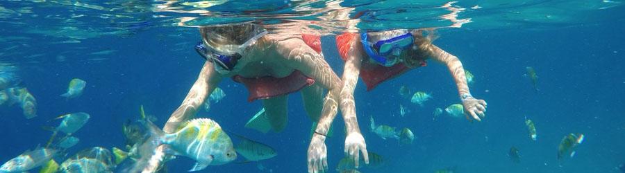 Cabo Snorkeling & Catamaran Sailing Excursion 2