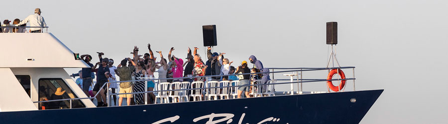 Luxury Catamaran Whale Watching and Lunch Cruise 1