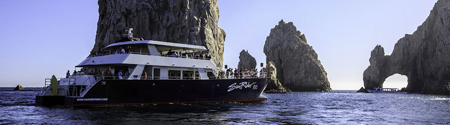 Luxury Catamaran Whale Watching and Lunch Cruise 5