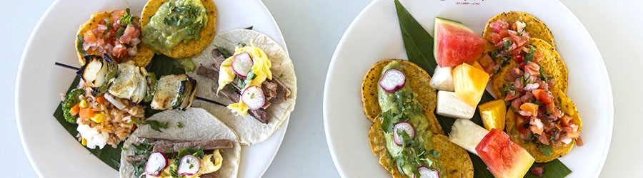 Luxury Catamaran Whale Watching and Lunch Cruise 8