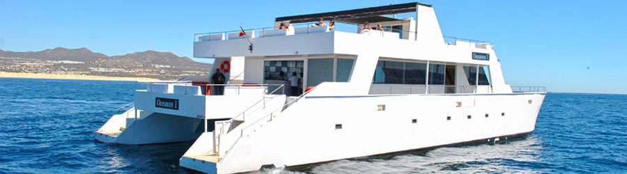 Cabo San Lucas City Tour & Cabo Arch at Sunset Tour 7