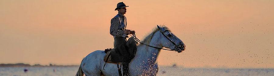 Pacific Beach Sunset Ride Migriño 1