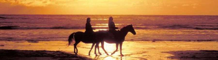 Pacific Beach Sunset Ride Migriño 7