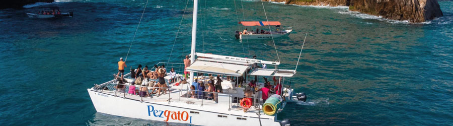 Cabo Party Fun Cruise to The Arch and Lands End at Sunset 6