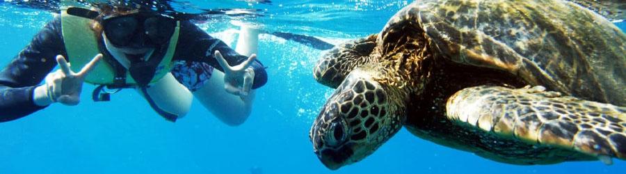 Luxury Cabo Sailing & Snorkeling Tour 8