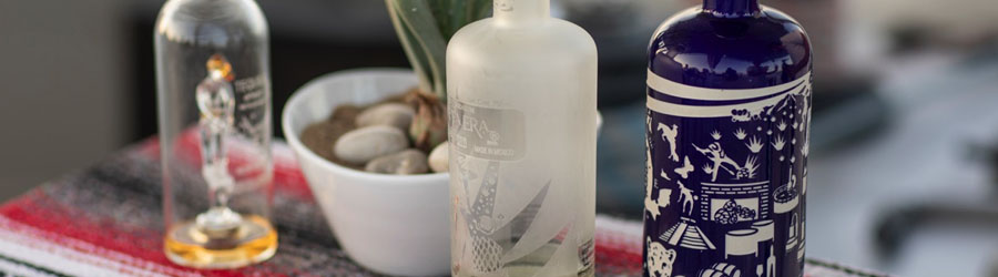 Tacos & Tequila Tasting Sunset Cruise in Cabo 1