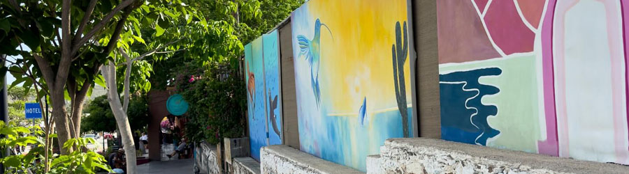 Private Todos Santos Tour 5